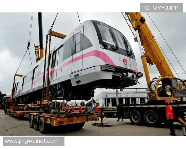 上海乒乓球队的辉煌历程与突破成就全景纪实