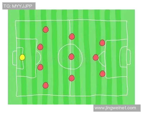 南京飞盘队进攻战术解析与团队配合策略深度剖析