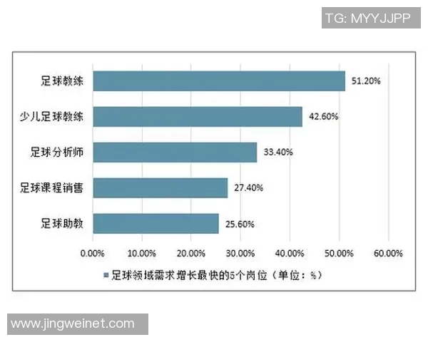南京足球队配合表现的数据分析与战术探讨 南京足球队配合表现的数据分析与战术探讨